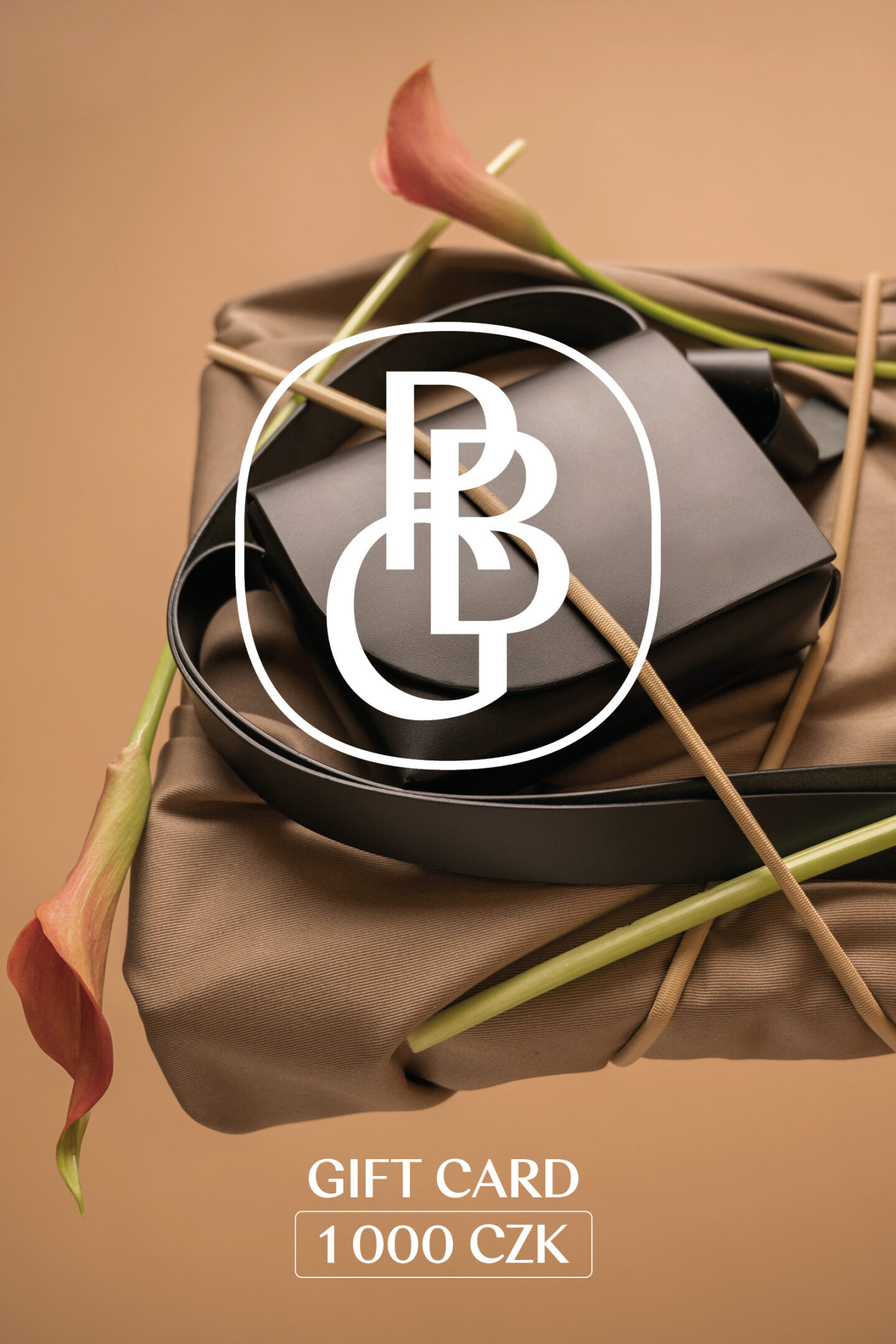 PBG voucher gift card fin