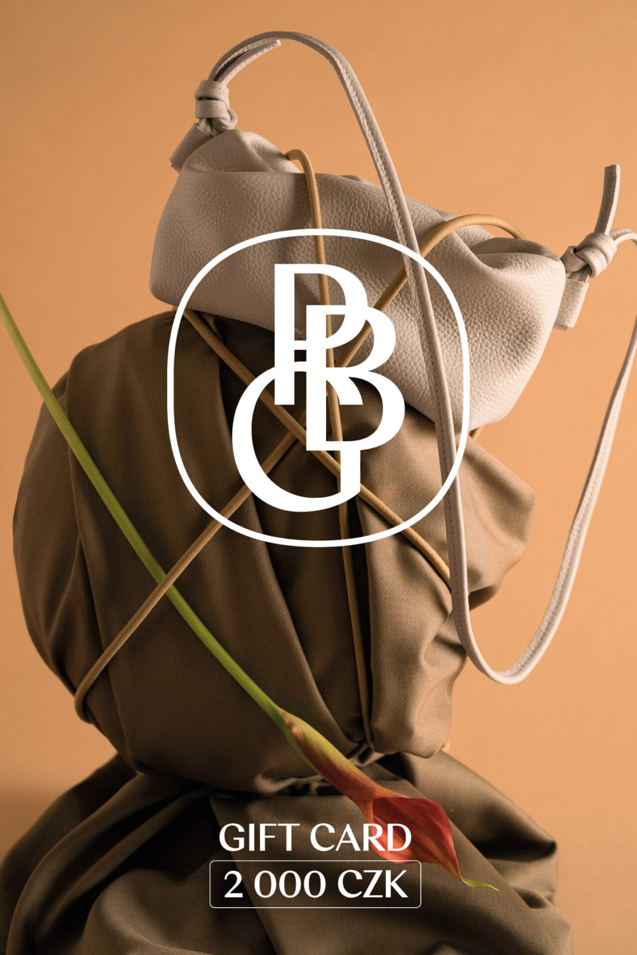 PBG voucher gift card fin2