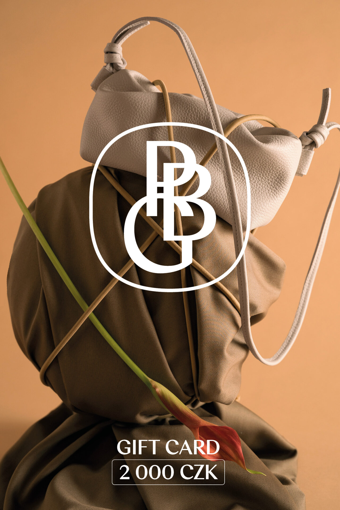 PBG voucher gift card fin2